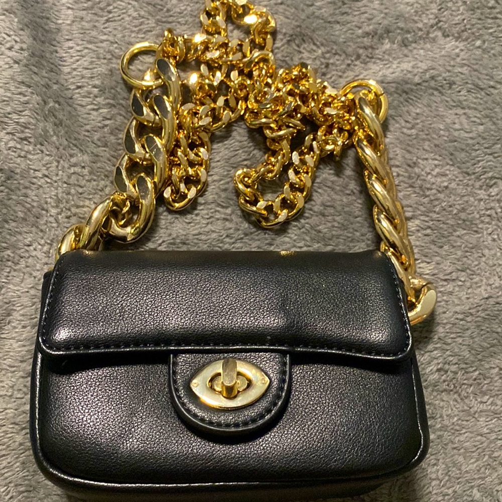 Fashion Nova Mini Bag w Chain